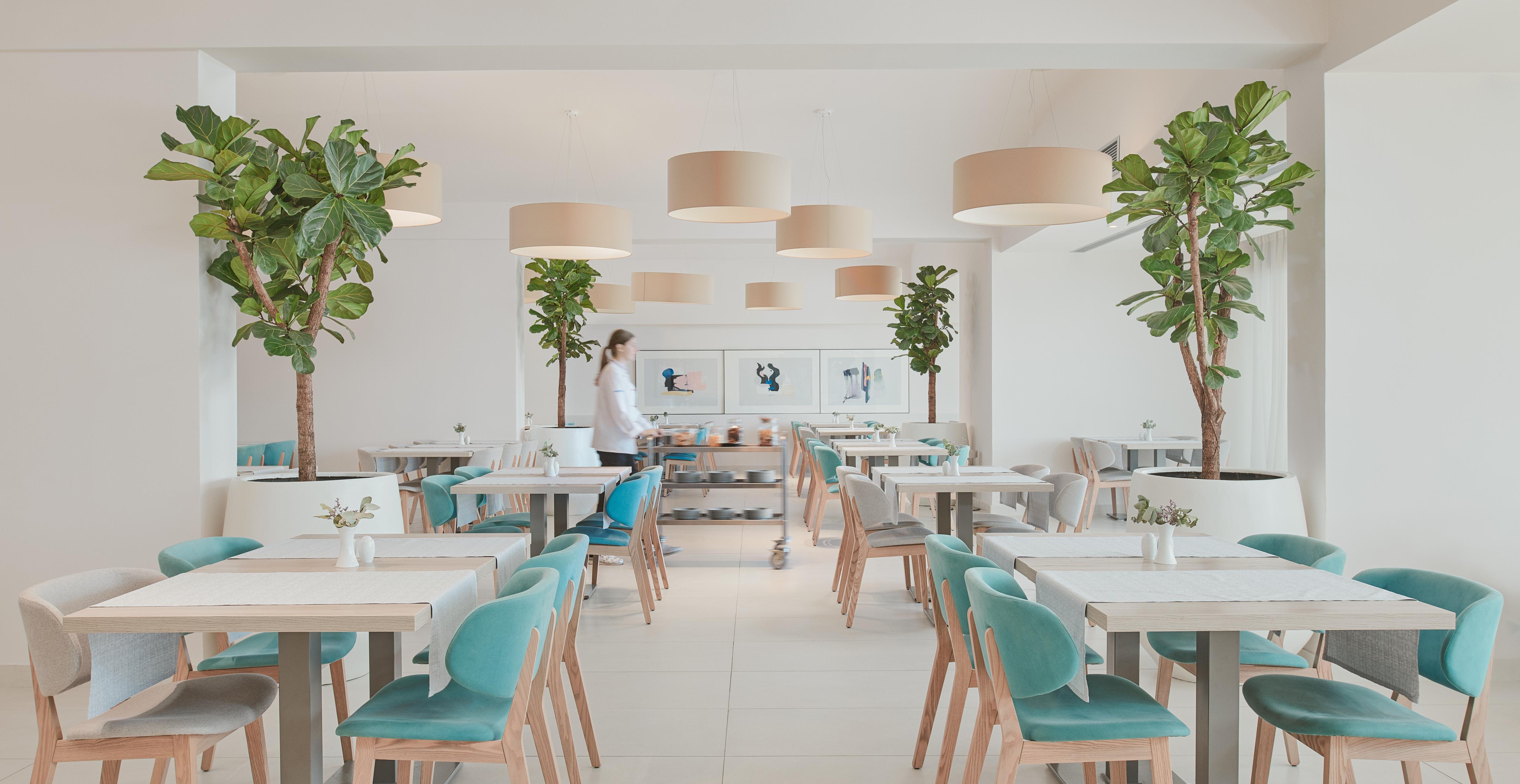 Bluesun Mala Berulia Hotel Brela Eksteriør billede